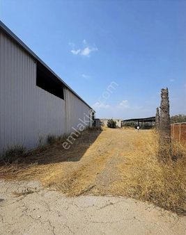 Gürgin Emlaktan Satılık Çepnibektaş Da Büyükbaş Hayvan Çiftliği