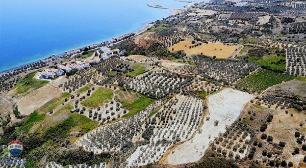 Mürefte'de %5 İmarlı Full Deniz Manzaralı Arazi 5.350 M2
