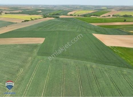 Tekirdağ Muratlı Yeşılsırt'ta Yatırımlık Yan Yana 3 Parsel Tarla