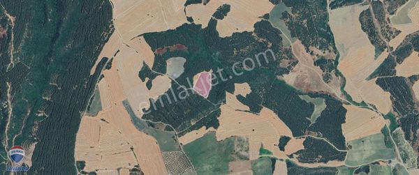 Remax Lavanda Şarköy İstiklal Tarım/yatırım İçin 10 Dönüm Tarla