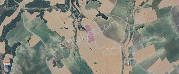 Remax Lavanda Şarköy İstiklal Tarım/yatırım İçin 19 Dönüm Tarla