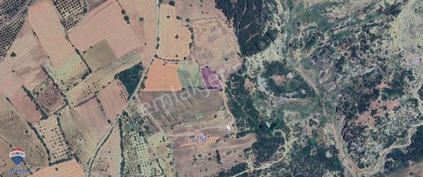 Remax Lavanda Şarköy Camikebir Tarım/yatırım İçin 3 Dönüm Bağ