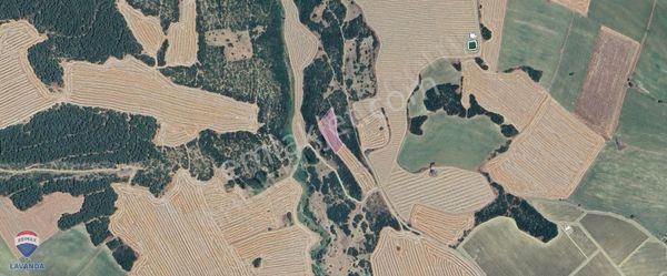 Remax Lavanda Şarköy İstiklal Tarım/yatırım İçin 4,5 Dönüm Tarla