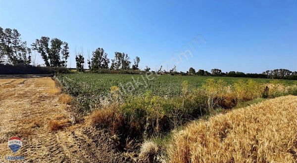 Remax Lavandadan Muratlı Kurtpınarda Yatırımlık Tarla