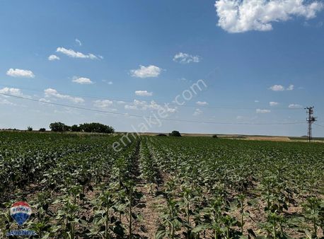 Remax Lavanda'dan Tekirdağ Saray Beyazköy Satılık Fırsat Tarla!