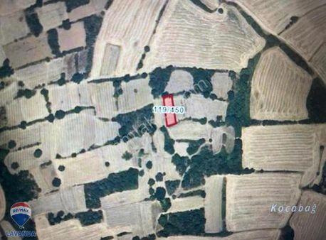 Remax Lavandadan Tek Tapu Satılık Tarla