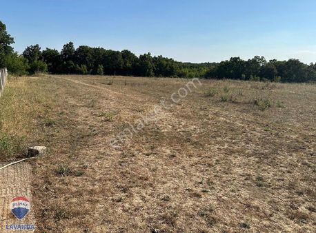 Remax Lavandadan Tekirdağ-sarayda Satılık Tarla