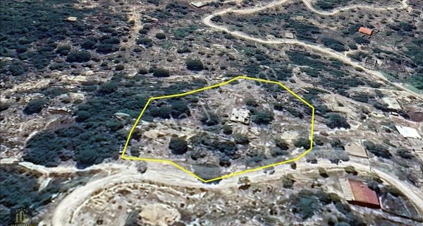 Elvan Özçelik'den Muğla Milas Kargıcak'da Satılık Tek Katlı Kargir Ev Ve Zeytinlik