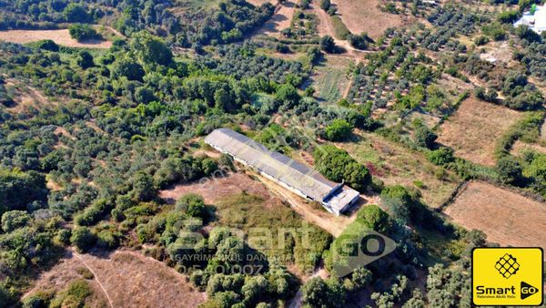 Karşıyaka'da 2.160 M² Satılık Çiftlik