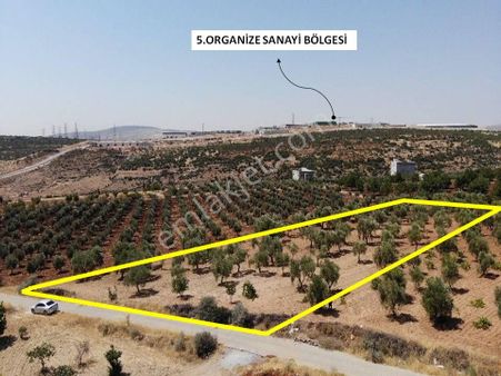 Repa Gayrimenkul Karacaburçda İmara Yakın Yol Üstü Satılık Tarla