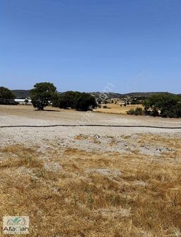 Balıkesir Organize Yanında Gökköy'de Uygun Fiyatlı 18800m2 Tarla