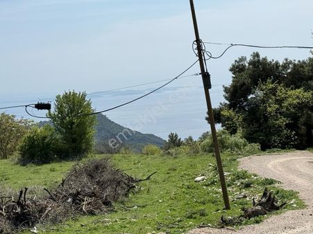 Ayvacık Sazlı Köyünde Tarla