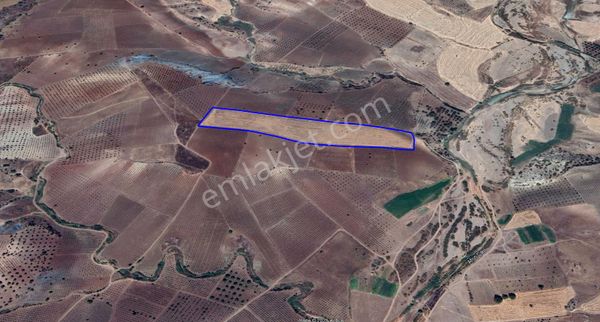 Kilis Musabeyli Koçcagız Köyünde Satılık Tarla