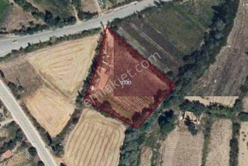 Başarakavakta; Yolu,suyu Ve Çok Sayıda Meyve Ağacı Bulunan Nitelikli Bahçe