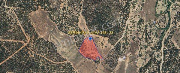 Serinhisar Ayazda Satılık 18,510 M2 Tarla