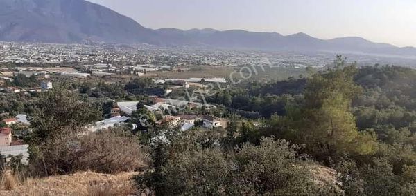 Fethiye Eldirek Mahallesinde Satılık 536 M2 Tarla