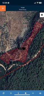 Fethiye Gökben De Satılık 30 Dönüm Tarla