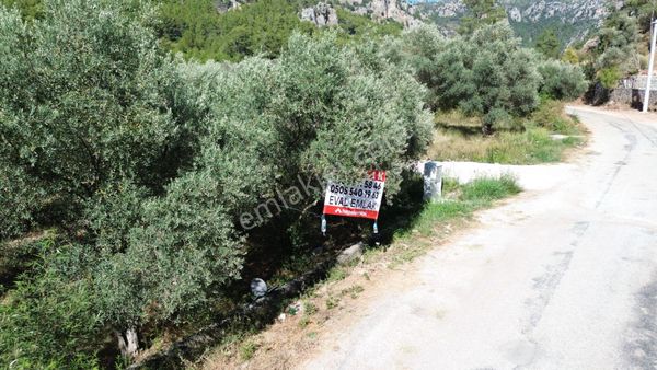 Marmaris Turgut'da 105m2 Satılık Müstakil Tapulu Tarla