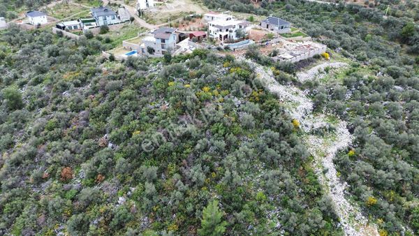 Fethiye Bozyerde Satılık 2500m2 Arazi