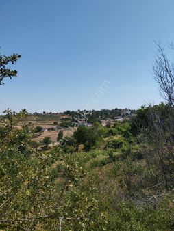 Tekirdağ Süleymanpaşa Dağ Yenicesinde Satılık Bağ,bahçe