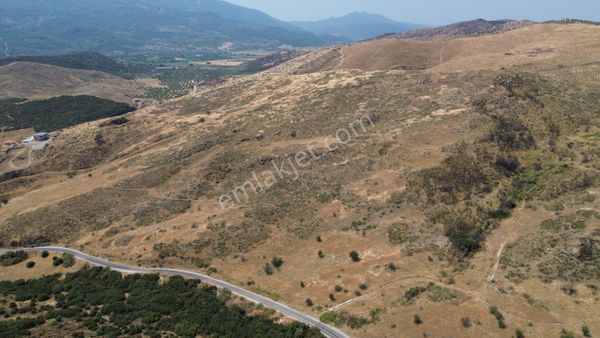 İzmir Tire Karateke Mahallesi'nde Satılık Tarla!