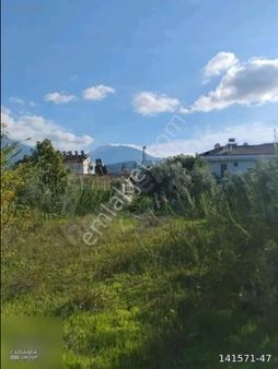 Fethiye Babataşınsa %25 İmarlı 540 Metrekare Satılık Arsa
