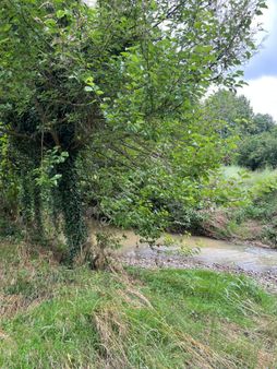 Sakarya Hendek Kalayık Da 170 M2 Arsa Tapulu