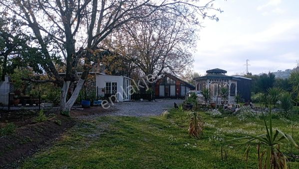 Muğla Milas Danişmen'te Satılık Bahçe