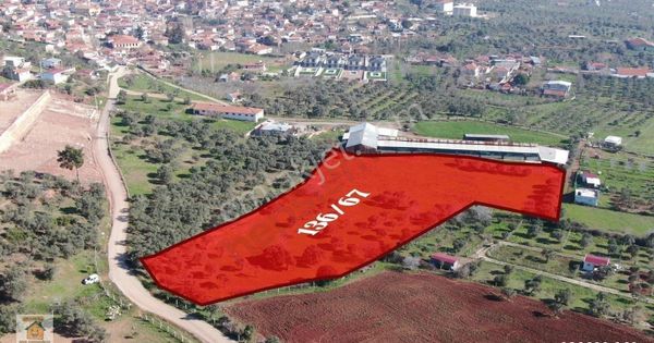 İzmir Torbalı Dağkızılcada 10367m2 Tek Tapu Satılık Tarla