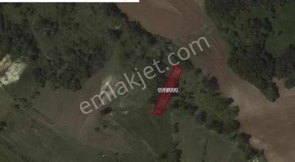 Arnavutköy Tayakadın Satılık Arsa , 185 M2 Yolu Var Evlerin Yakını Hisseli