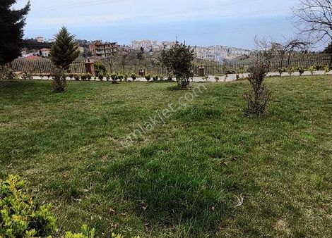 Altın Emlak Trabzon Çimenlide Satılık İki Villa