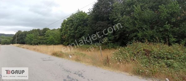 Tb Grup'tan Satılık Ana Asfalt Üzeri