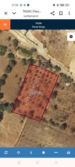 Akyol Gayrimenkul Den Satlık Acar Obada Meyve Bahçesi Bağ Evlilik Tek Tek Tapu 1986 Mt