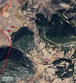 Feke-incirli'de Satılık Tarla- Ayrı Ayrı 3 Tapu Toplam 11 Dönüm