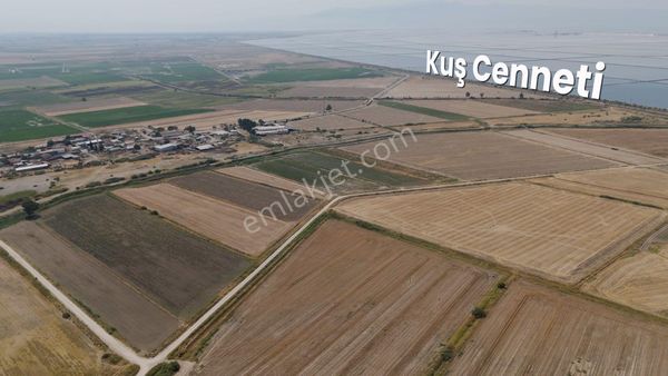 Menemen Süzbeyli'de Müstakil Tek Tapu 2934 M2 Verimli Tarla