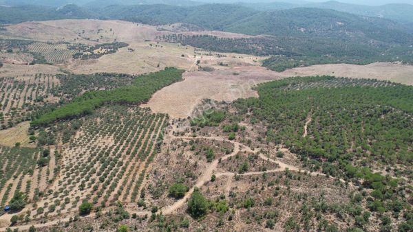Balıkesir Gömec Te Satılık 63,978 Metre Kare Satılık Muhtelif Arsa