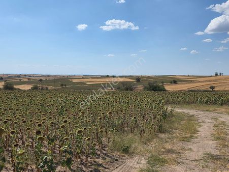 Edirne Havsa Azatlı Satılık 616m2 Fırsat Hisseli Parseller