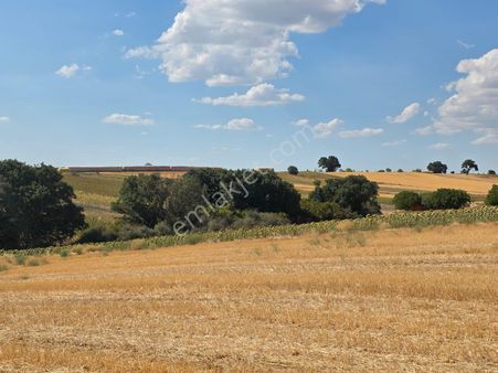 Edirne Havsa Azatlı Satılık 415m2 Fırsat Hisseli Parseller