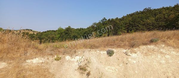 Bursa Nilüfer Badirga Mahallesi Satılık 3.250 Mt Tarla