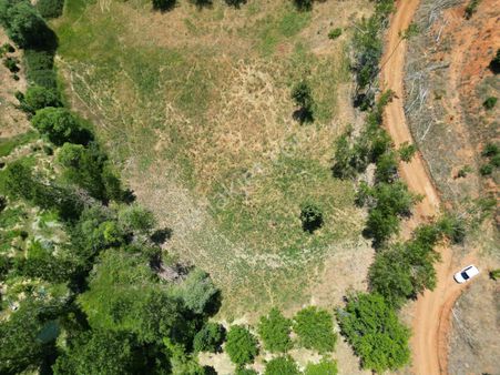 Coldwell Banker Göksun Kızılöz'de Satılık Fırsat Tarla