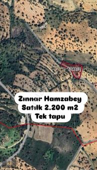 Şok Fiyatlarla Tek Tapu Müstakil Tapu Arazi Bağ Bahçe Tarlalar