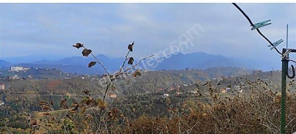 Kavala Da Yatırımlık Arsa