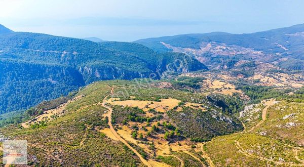 Tuana Gayrimenkul'den Menteşe Zeytinköy'de 12711m² Tarla