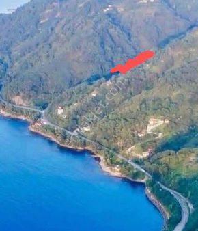 Hoynat Adası Manzaralı Perşembe Ramazan Mahallesinde Satılık İmarlı Bahçe.