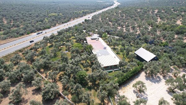 Türkiye Balıkesir Ayvalık Ta Satılık 10,275 Metre Karedir Arsa.