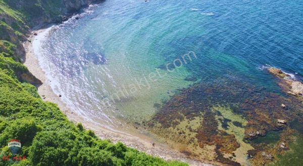 Lapseki Güreci'de Size Ait Bir Koyunuz Olsun İster Misiniz?