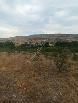 Boyalı Köyü 1400m2 Uygun Fiyatlı Tarla