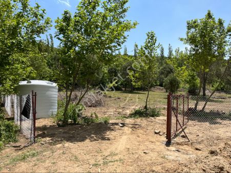 Yaylada Müstakil Tapulu 4000 Metrekare Kozak Çelebi Emlak Tan