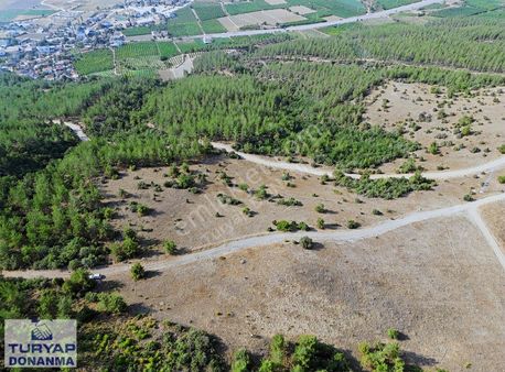 20.765 M2 Bilecik Osmanli Yatırımlık Tarla