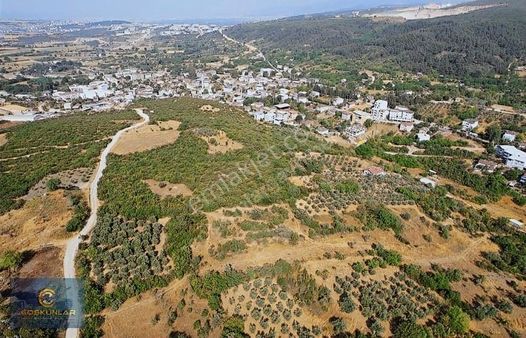 Hasan Ağa Akçalar Da Satılık 350m2 Hisseli Tarla